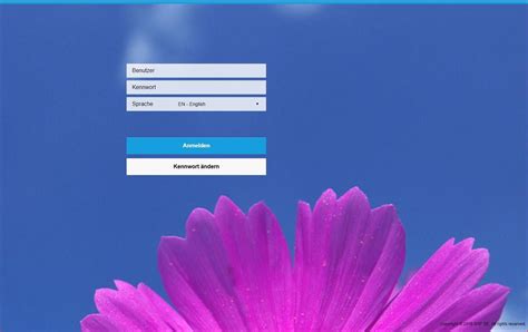 fiori login.